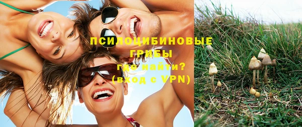 альфа пвп Пролетарск