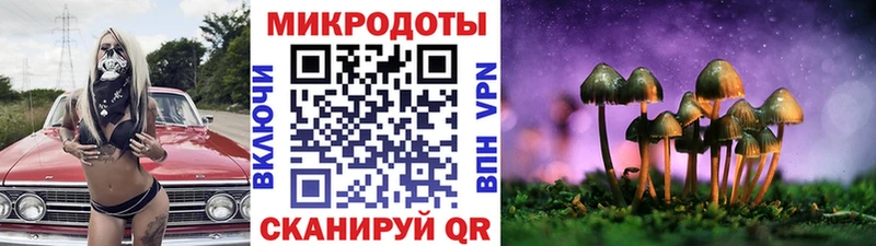 Псилоцибиновые грибы MAGIC MUSHROOMS  дарнет шоп  mega ссылка  Яровое 
